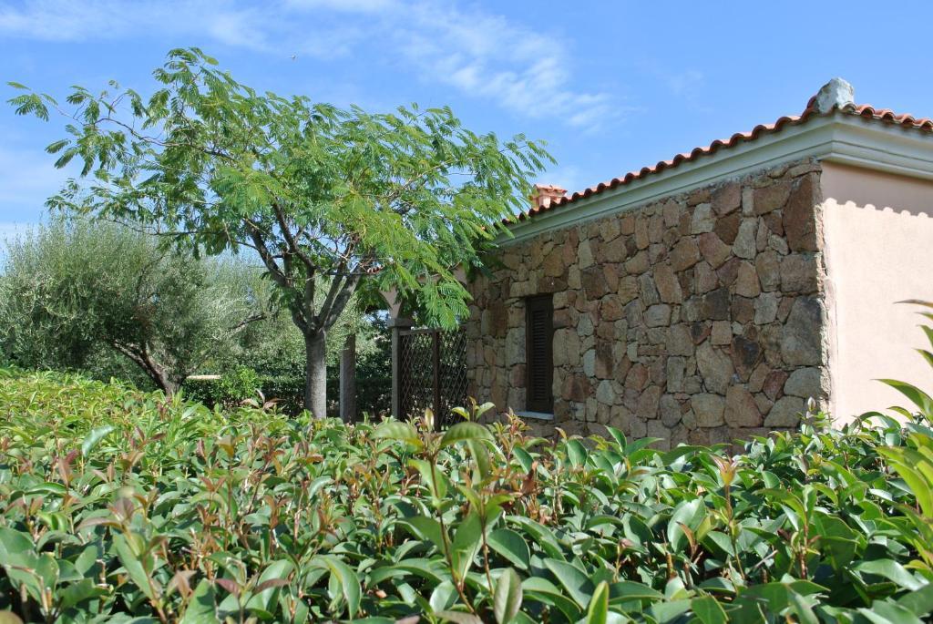 Case Vacanza Fenicotteri San Teodoro  Extérieur photo